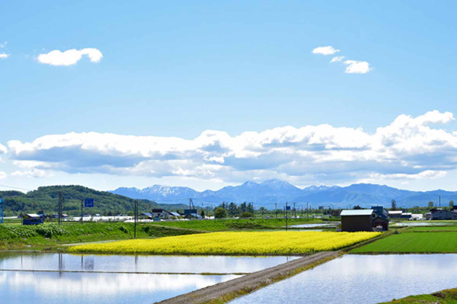 赤平市 様
