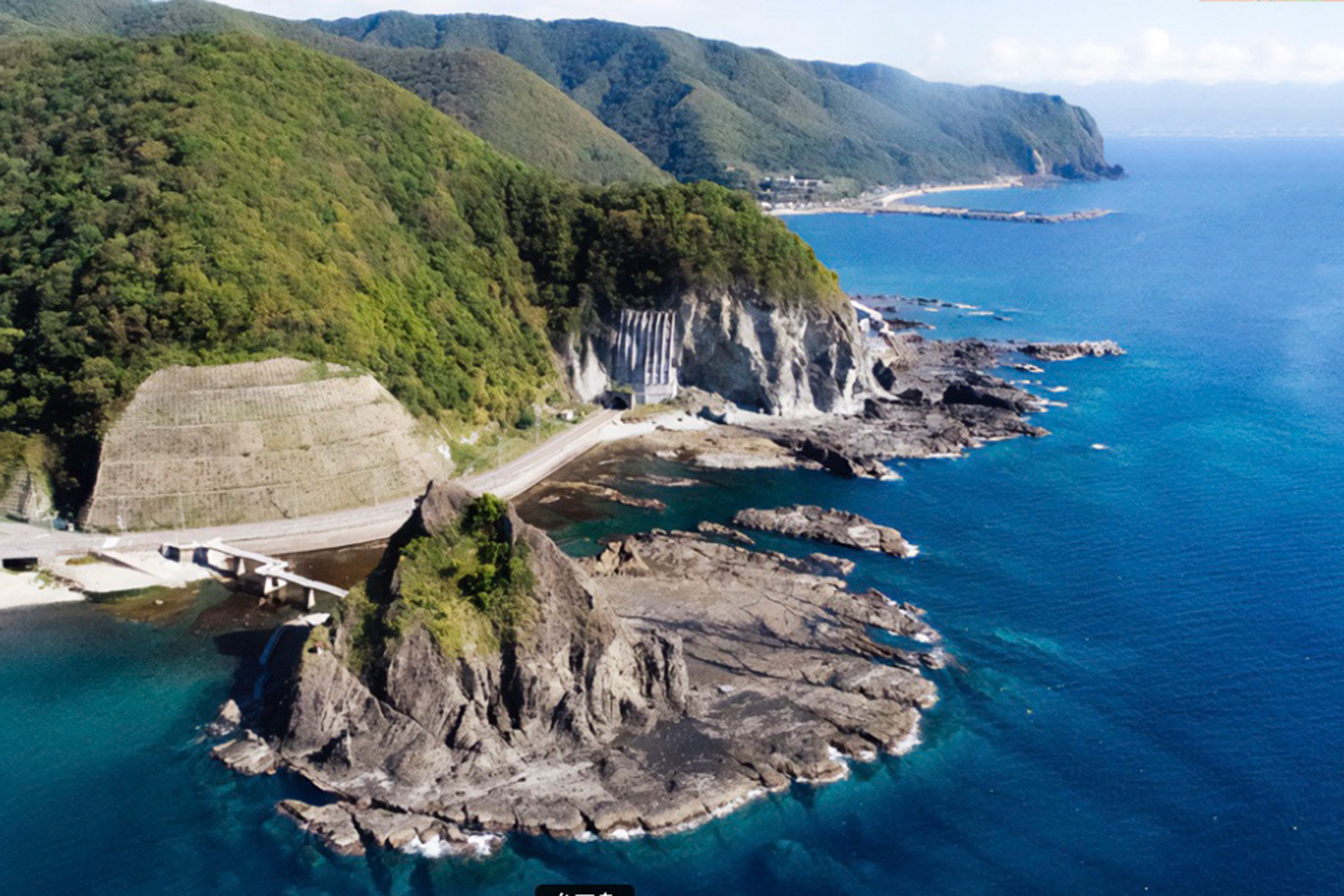 泊村 様