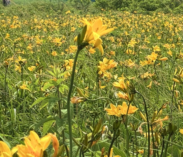 遠別町 様