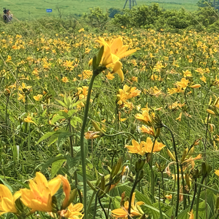 遠別町 様